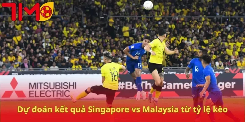 Dự đoán kết quả Singapore vs Malaysia từ tỷ lệ kèo
